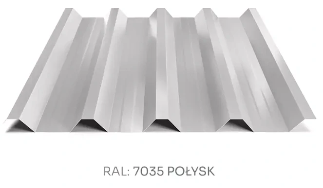 Trapézový plech Hornval T55 MAX PE lesk 0,5 mm