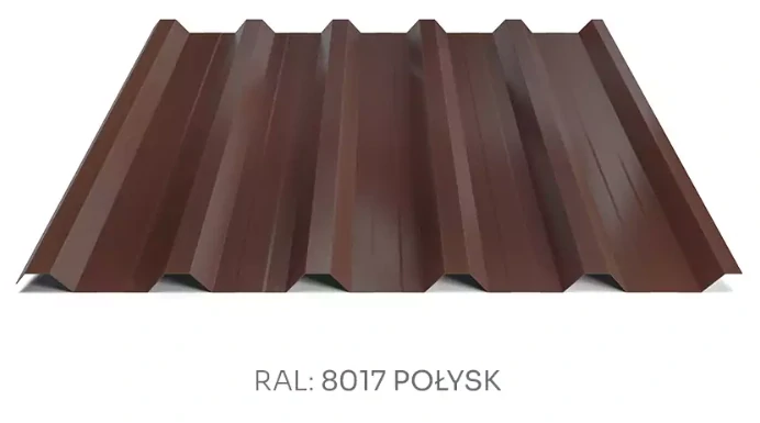 Trapézový plech Hornval T35 MAX PE lesk 0,55 mm